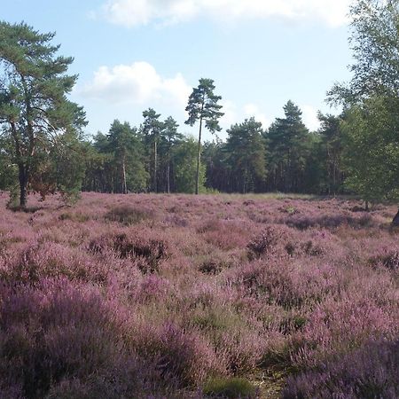 B&B Achterom Loon op Zand Luaran gambar