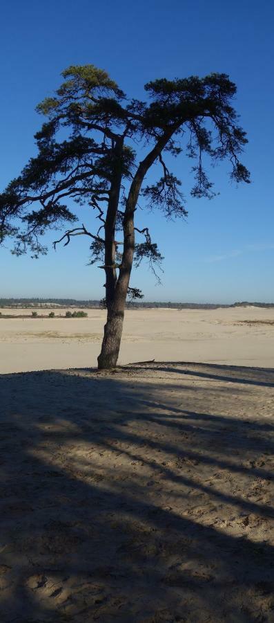 B&B Achterom Loon op Zand Luaran gambar
